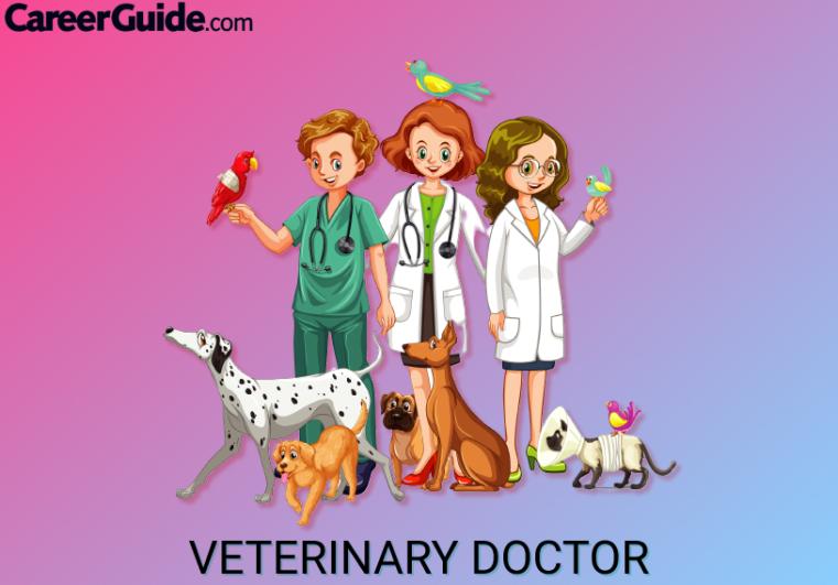 Veterinary Doctor